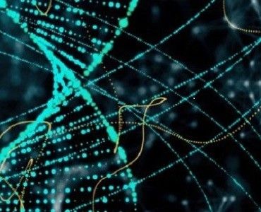 Στιγμιότυπο οθόνης 2025-09-10 152734