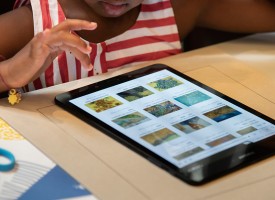 12_We are the robots1